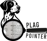 Plag Pointer