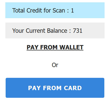 Plagiarism checker payment options - wallet