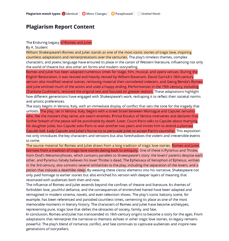 Plagiarism checker and AI detection report - page 3